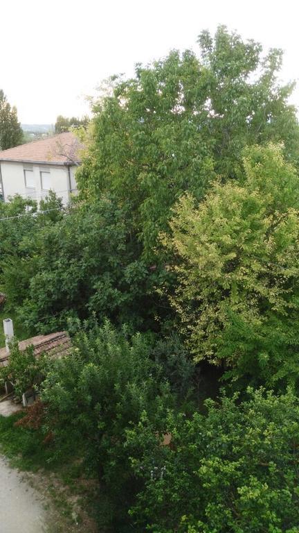 Il Giardino Del Gallo Foligno Zimmer foto
