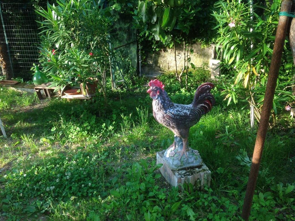 Il Giardino Del Gallo Foligno Exterior foto